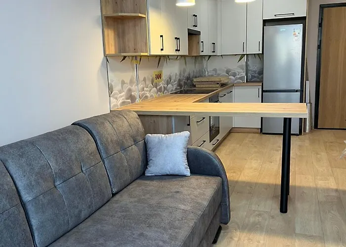 公寓 Lyna 巴尔托希采